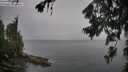 ./images/koeye/fitz-hugh/20260707/fitz-hugh20260707_095001M.jpg