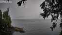 ./images/koeye/fitz-hugh/20260707/fitz-hugh20260707_100501M.jpg
