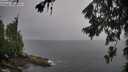 ./images/koeye/fitz-hugh/20260707/fitz-hugh20260707_103001M.jpg