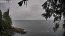 ./images/koeye/fitz-hugh/20260707/fitz-hugh20260707_104501M.jpg