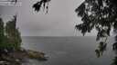 ./images/koeye/fitz-hugh/20260707/fitz-hugh20260707_105001M.jpg