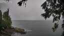 ./images/koeye/fitz-hugh/20260707/fitz-hugh20260707_105502M.jpg