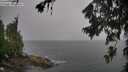 ./images/koeye/fitz-hugh/20260707/fitz-hugh20260707_110001M.jpg