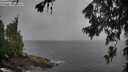 ./images/koeye/fitz-hugh/20260707/fitz-hugh20260707_111002M.jpg