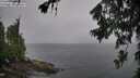 ./images/koeye/fitz-hugh/20260707/fitz-hugh20260707_112002M.jpg