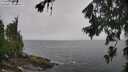 ./images/koeye/fitz-hugh/20260707/fitz-hugh20260707_114001M.jpg