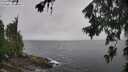 ./images/koeye/fitz-hugh/20260707/fitz-hugh20260707_115002M.jpg