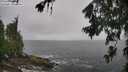 ./images/koeye/fitz-hugh/20260707/fitz-hugh20260707_120002M.jpg