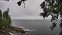 ./images/koeye/fitz-hugh/20260707/fitz-hugh20260707_121002M.jpg