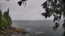 ./images/koeye/fitz-hugh/20260707/fitz-hugh20260707_130501M.jpg