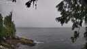 ./images/koeye/fitz-hugh/20260707/fitz-hugh20260707_140501M.jpg