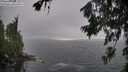 ./images/koeye/fitz-hugh/20260707/fitz-hugh20260707_180501M.jpg