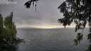 ./images/koeye/fitz-hugh/20260707/fitz-hugh20260707_183001M.jpg