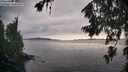 ./images/koeye/fitz-hugh/20260707/fitz-hugh20260707_192001M.jpg