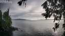 ./images/koeye/fitz-hugh/20260707/fitz-hugh20260707_193002M.jpg