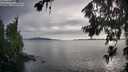 ./images/koeye/fitz-hugh/20260707/fitz-hugh20260707_193501M.jpg