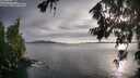 ./images/koeye/fitz-hugh/20260707/fitz-hugh20260707_194001M.jpg