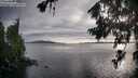 ./images/koeye/fitz-hugh/20260707/fitz-hugh20260707_194501M.jpg