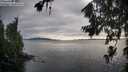 ./images/koeye/fitz-hugh/20260707/fitz-hugh20260707_195002M.jpg