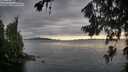 ./images/koeye/fitz-hugh/20260707/fitz-hugh20260707_200501M.jpg