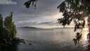 ./images/koeye/fitz-hugh/20260707/fitz-hugh20260707_203001M.jpg