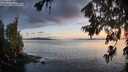 ./images/koeye/fitz-hugh/20260707/fitz-hugh20260707_213001M.jpg