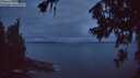 ./images/koeye/fitz-hugh/20260708/fitz-hugh20260708_043501M.jpg