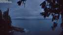 ./images/koeye/fitz-hugh/20260708/fitz-hugh20260708_044001M.jpg