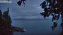 ./images/koeye/fitz-hugh/20260708/fitz-hugh20260708_044501M.jpg