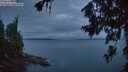 ./images/koeye/fitz-hugh/20260708/fitz-hugh20260708_045002M.jpg