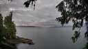 ./images/koeye/fitz-hugh/20260708/fitz-hugh20260708_054501M.jpg