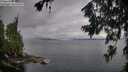 ./images/koeye/fitz-hugh/20260708/fitz-hugh20260708_070002M.jpg