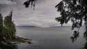 ./images/koeye/fitz-hugh/20260708/fitz-hugh20260708_071501M.jpg