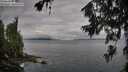 ./images/koeye/fitz-hugh/20260708/fitz-hugh20260708_072501M.jpg