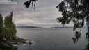 ./images/koeye/fitz-hugh/20260708/fitz-hugh20260708_073501M.jpg