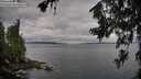 ./images/koeye/fitz-hugh/20260708/fitz-hugh20260708_074001M.jpg