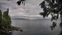 ./images/koeye/fitz-hugh/20260708/fitz-hugh20260708_074502M.jpg