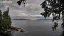 ./images/koeye/fitz-hugh/20260708/fitz-hugh20260708_075001M.jpg