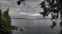 ./images/koeye/fitz-hugh/20260708/fitz-hugh20260708_075501M.jpg