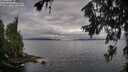 ./images/koeye/fitz-hugh/20260708/fitz-hugh20260708_080001M.jpg