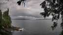 ./images/koeye/fitz-hugh/20260708/fitz-hugh20260708_081502M.jpg