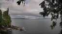 ./images/koeye/fitz-hugh/20260708/fitz-hugh20260708_082001M.jpg