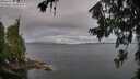 ./images/koeye/fitz-hugh/20260708/fitz-hugh20260708_083001M.jpg