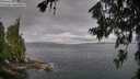 ./images/koeye/fitz-hugh/20260708/fitz-hugh20260708_083501M.jpg