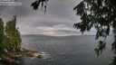 ./images/koeye/fitz-hugh/20260708/fitz-hugh20260708_084001M.jpg