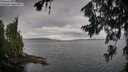 ./images/koeye/fitz-hugh/20260708/fitz-hugh20260708_084501M.jpg