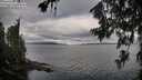 ./images/koeye/fitz-hugh/20260708/fitz-hugh20260708_085501M.jpg