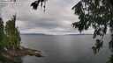 ./images/koeye/fitz-hugh/20260708/fitz-hugh20260708_091501M.jpg