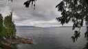 ./images/koeye/fitz-hugh/20260708/fitz-hugh20260708_092501M.jpg