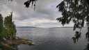 ./images/koeye/fitz-hugh/20260708/fitz-hugh20260708_093002M.jpg